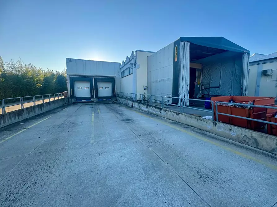 Immagine 2 di Attività artigianale in vendita  a Capannoli