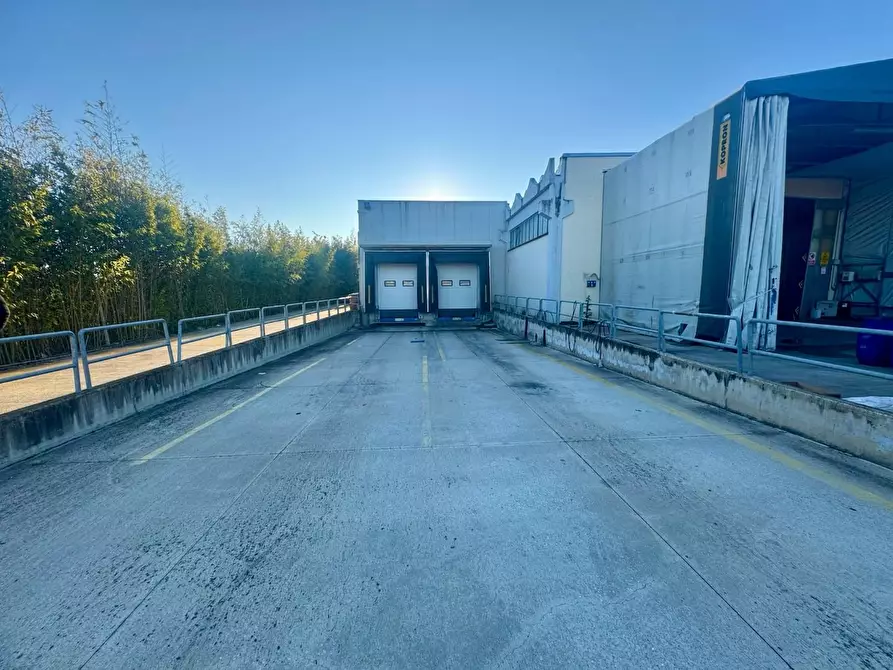 Immagine 5 di Attività artigianale in vendita  a Capannoli