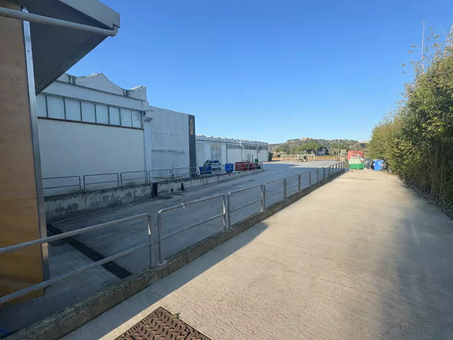 Immagine 3 di Attività artigianale in vendita  a Capannoli