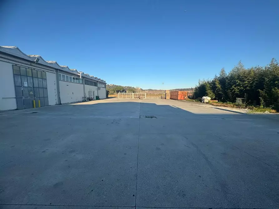 Immagine 1 di Attività artigianale in vendita  a Capannoli