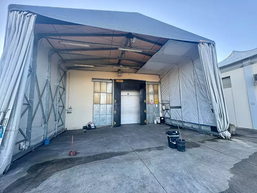 Immagine 6 di Attività artigianale in vendita  a Capannoli