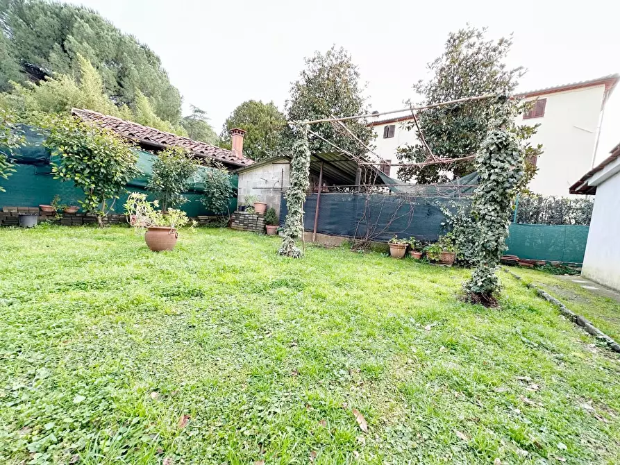 Immagine 22 di Terratetto in vendita  a Capannori