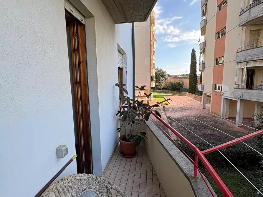 Immagine 14 di Appartamento in vendita  a Campiglia Marittima