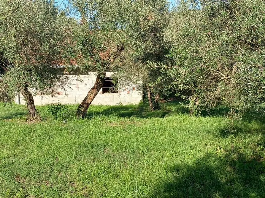 Immagine 13 di Rustico / casale in vendita  a Santa Maria A Monte