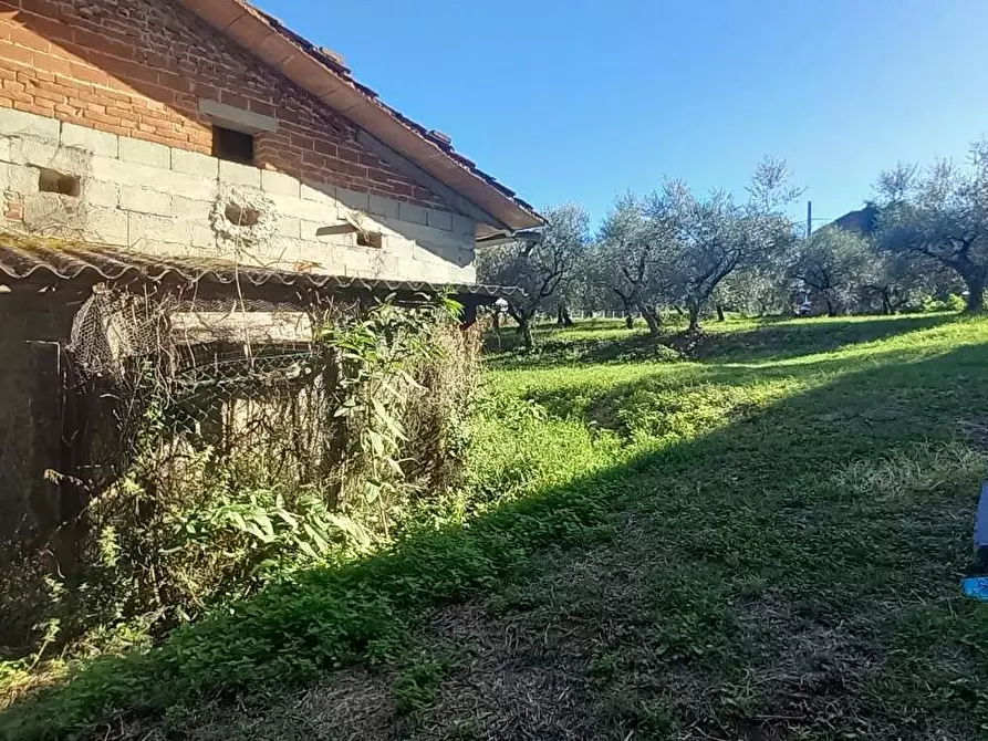 Immagine 5 di Rustico / casale in vendita  a Santa Maria A Monte