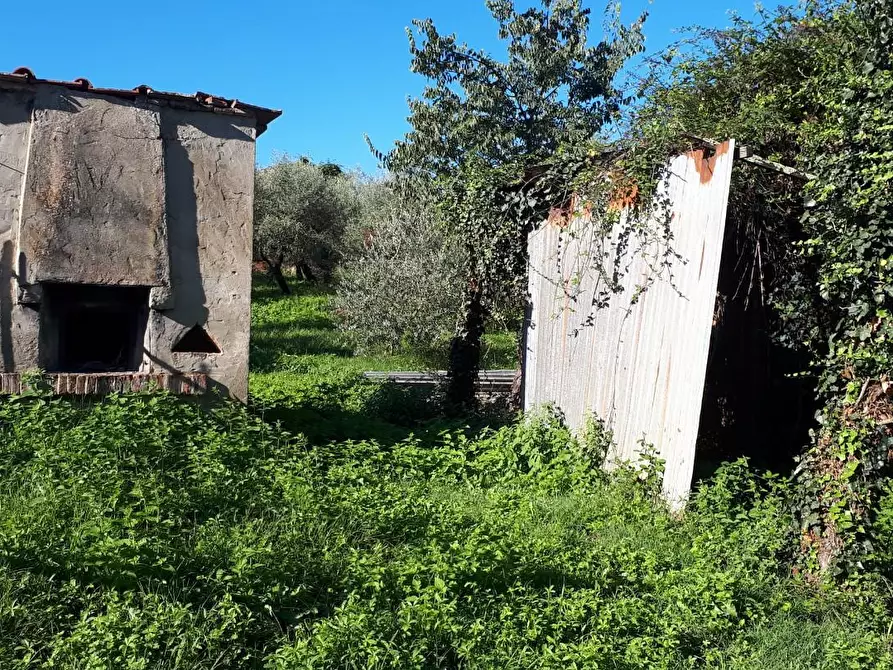 Immagine 18 di Rustico / casale in vendita  a Santa Maria A Monte