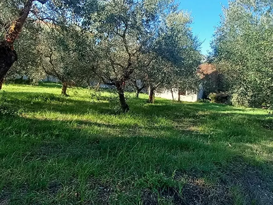 Immagine 16 di Rustico / casale in vendita  a Santa Maria A Monte