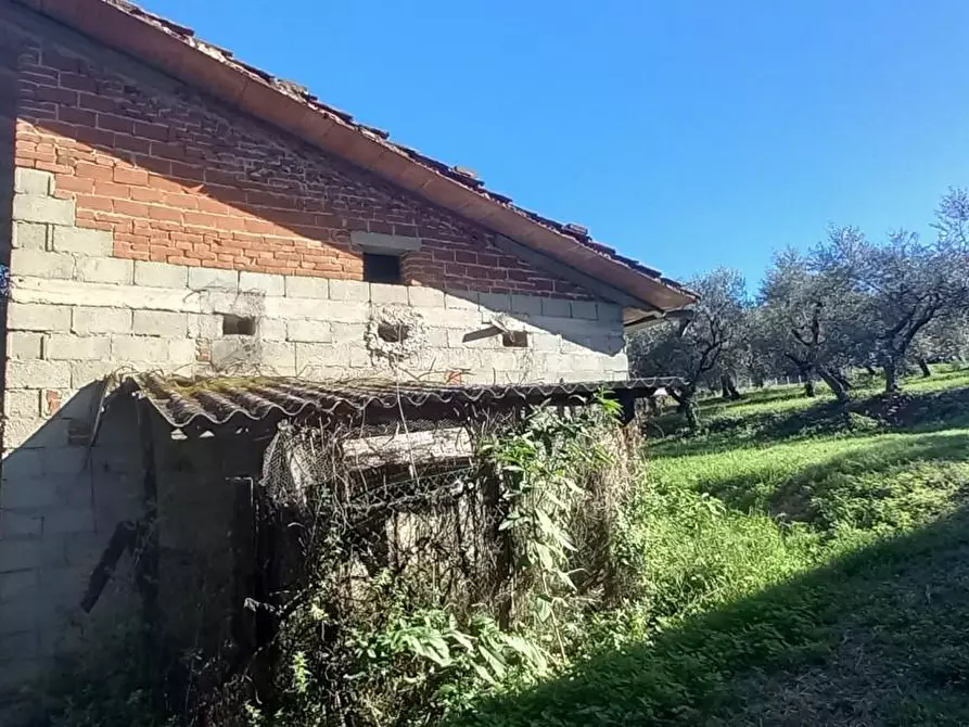 Immagine 4 di Rustico / casale in vendita  a Santa Maria A Monte