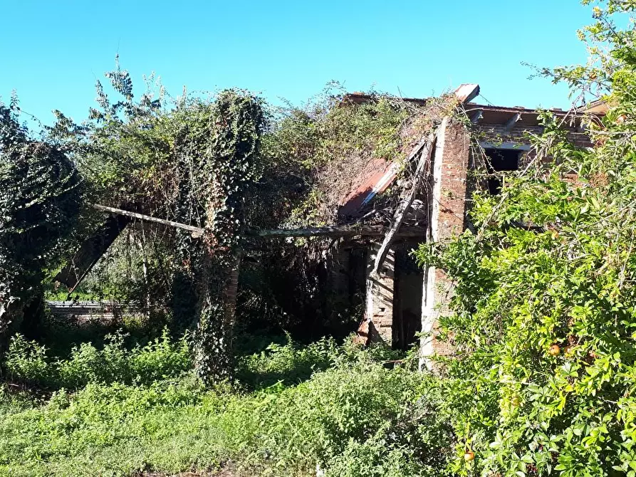 Immagine 19 di Rustico / casale in vendita  a Santa Maria A Monte