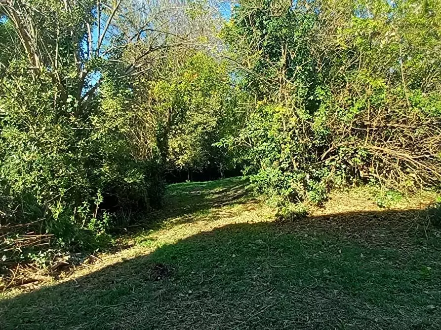 Immagine 2 di Rustico / casale in vendita  a Santa Maria A Monte