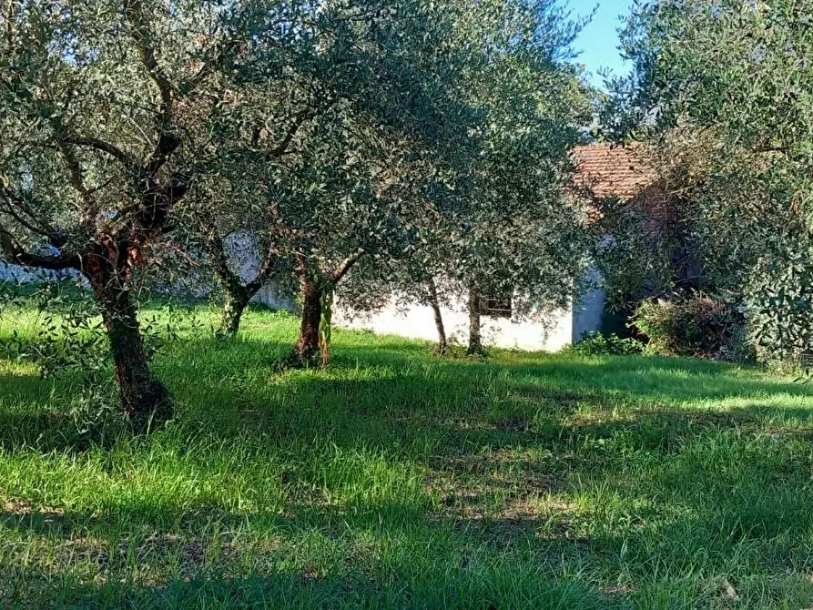 Immagine 15 di Rustico / casale in vendita  a Santa Maria A Monte