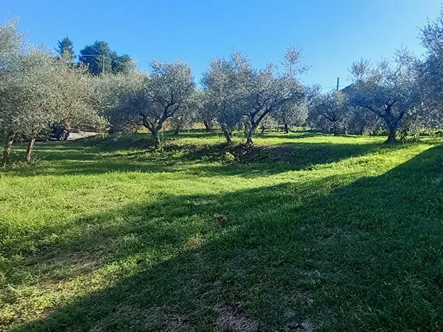 Immagine 10 di Rustico / casale in vendita  a Santa Maria A Monte