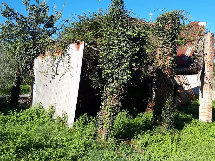 Immagine 17 di Rustico / casale in vendita  a Santa Maria A Monte