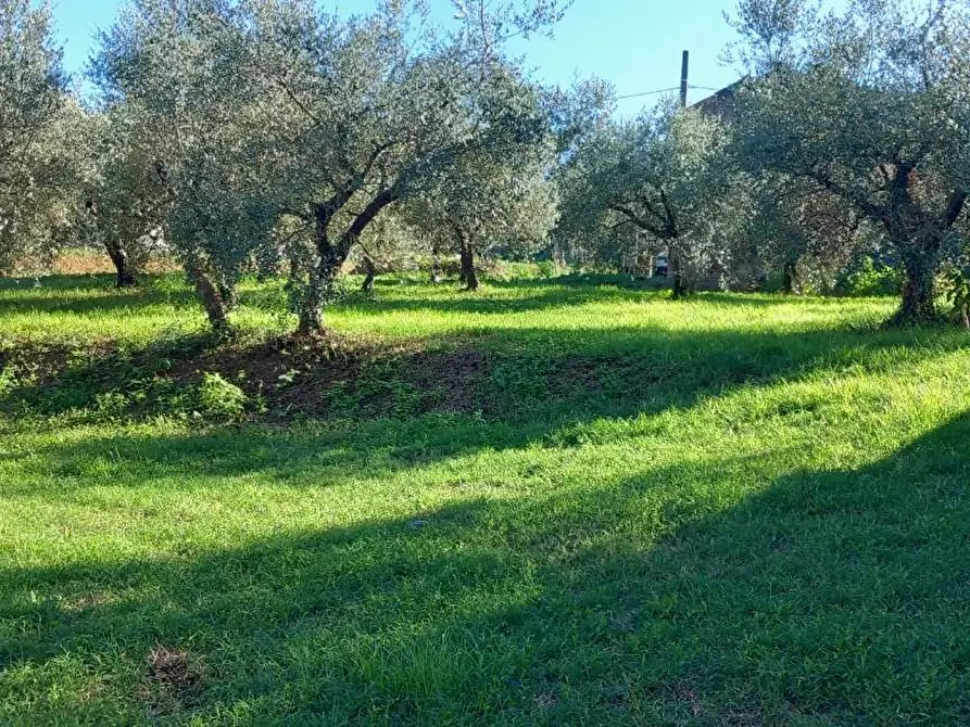 Immagine 11 di Rustico / casale in vendita  a Santa Maria A Monte