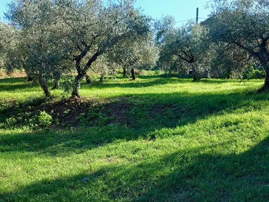 Immagine 12 di Rustico / casale in vendita  a Santa Maria A Monte