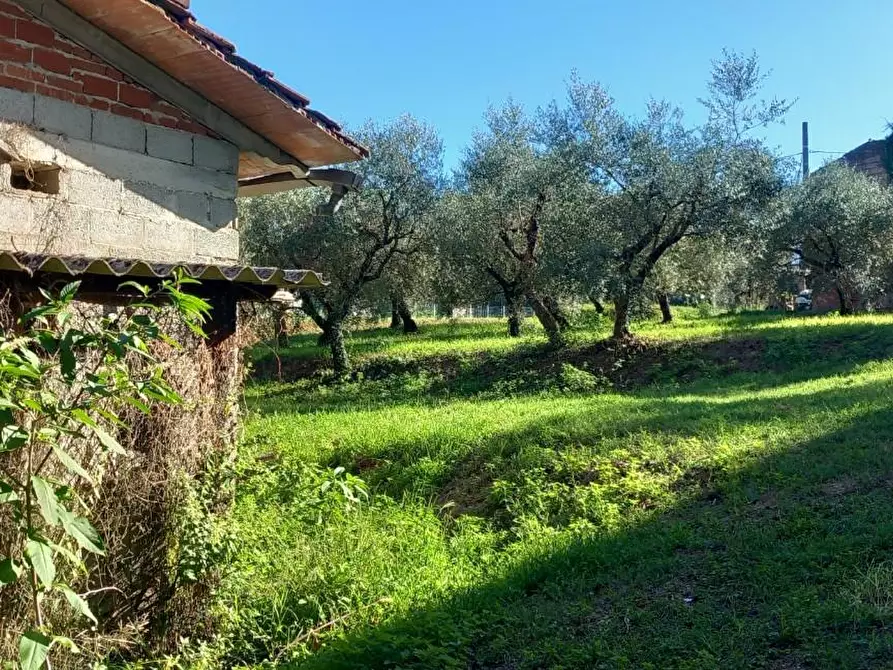 Immagine 6 di Rustico / casale in vendita  a Santa Maria A Monte