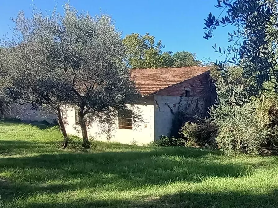 Immagine 1 di Rustico / casale in vendita  a Santa Maria A Monte