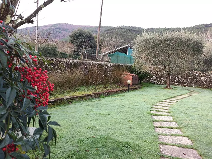 Immagine 6 di Rustico / casale in vendita  a Capannori