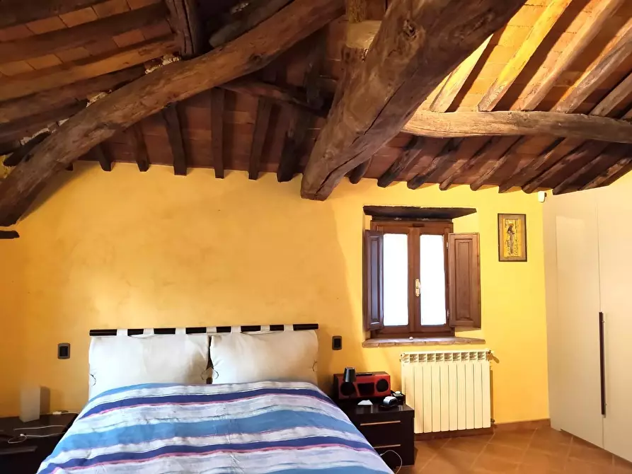 Immagine 23 di Rustico / casale in vendita  a Capannori