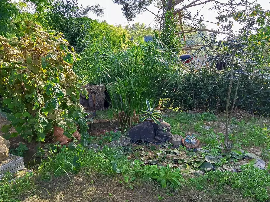 Immagine 29 di Casa indipendente in vendita  a San Miniato