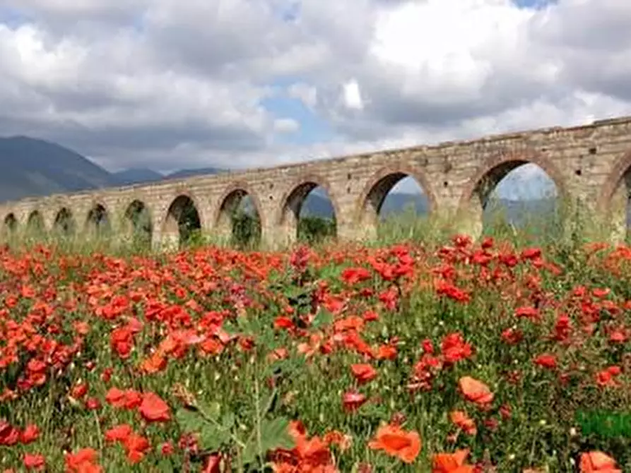 Immagine 11 di Casa bifamiliare in vendita  a San Giuliano Terme