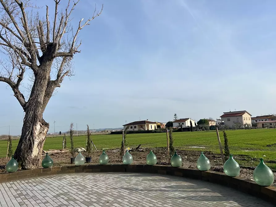 Immagine 55 di Villa in vendita  a Santa Maria A Monte