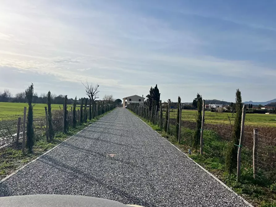 Immagine 67 di Villa in vendita  a Santa Maria A Monte