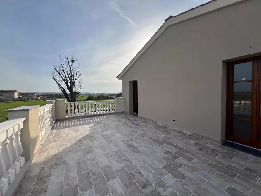 Immagine 6 di Villa in vendita  a Santa Maria A Monte