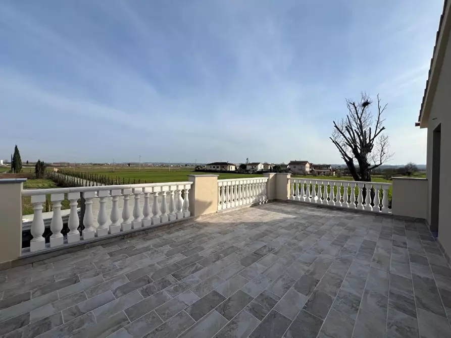 Immagine 4 di Villa in vendita  a Santa Maria A Monte