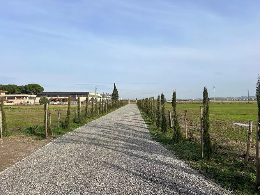 Immagine 36 di Villa in vendita  a Santa Maria A Monte