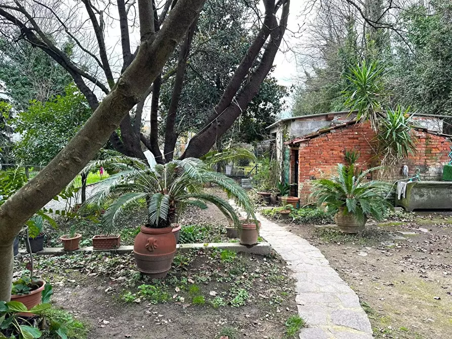 Immagine 36 di Casa semindipendente in vendita  a Capannori