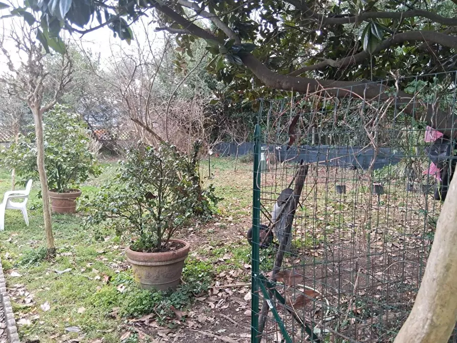 Immagine 32 di Casa semindipendente in vendita  a Capannori