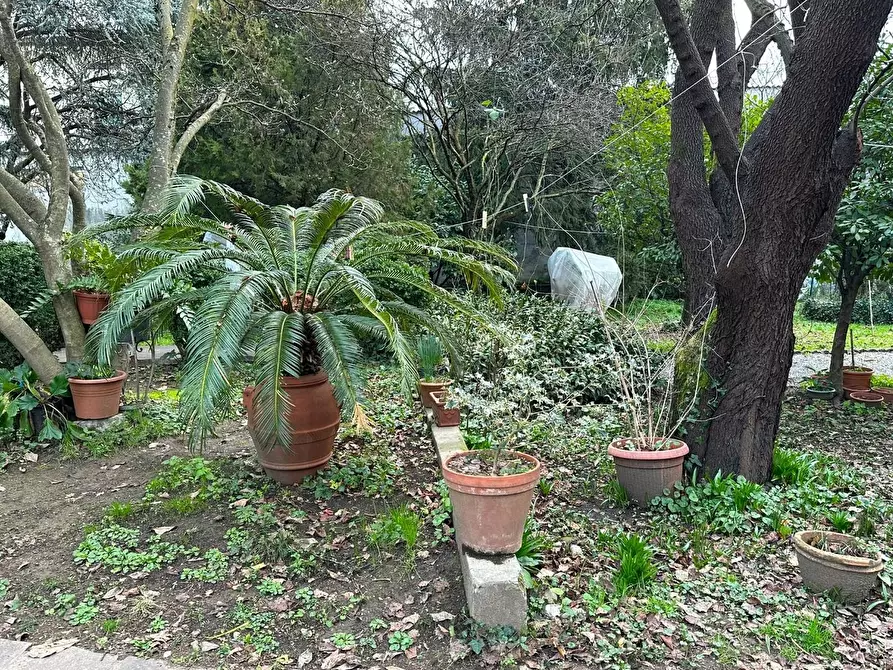 Immagine 38 di Casa semindipendente in vendita  a Capannori