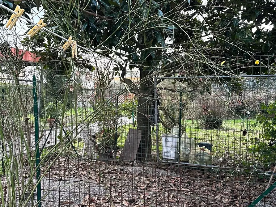 Immagine 37 di Casa semindipendente in vendita  a Capannori