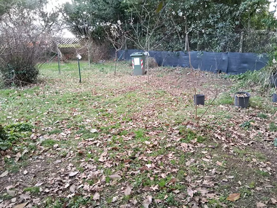 Immagine 5 di Casa semindipendente in vendita  a Capannori