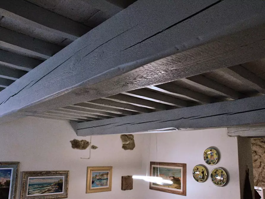 Immagine 7 di Appartamento in vendita  a Casale Marittimo