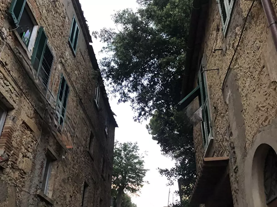 Immagine 51 di Appartamento in vendita  a Casale Marittimo