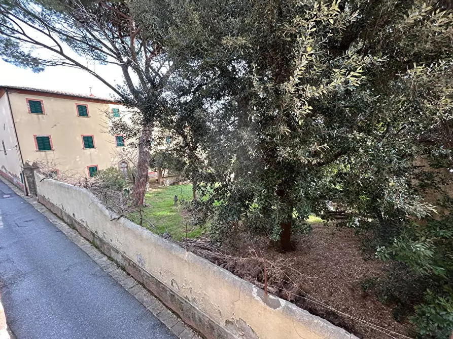 Immagine 49 di Appartamento in vendita  a Casale Marittimo