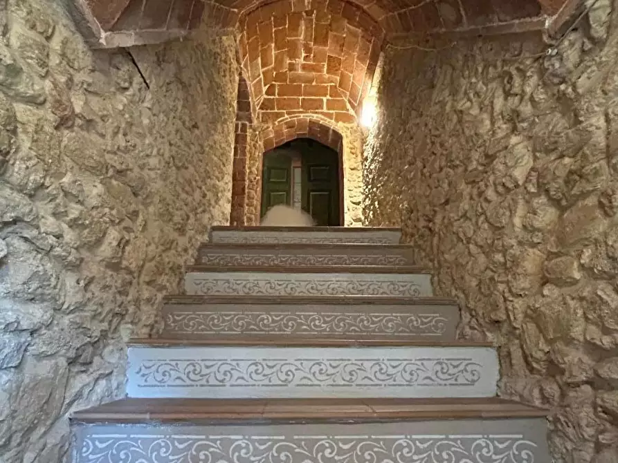 Immagine 32 di Appartamento in vendita  a Casale Marittimo