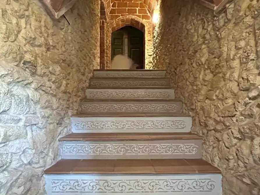 Immagine 34 di Appartamento in vendita  a Casale Marittimo