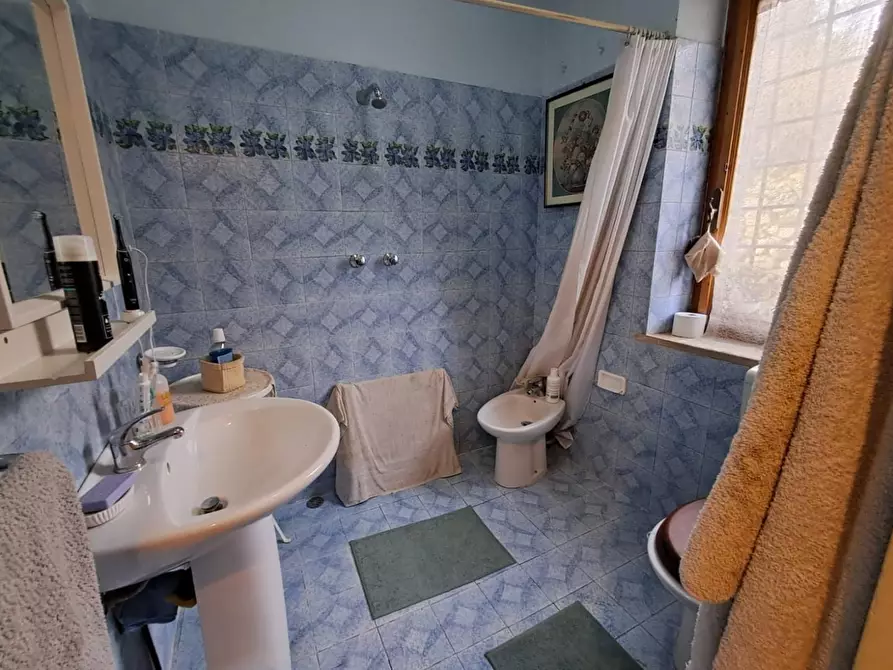 Immagine 11 di Terratetto in vendita  a Buti