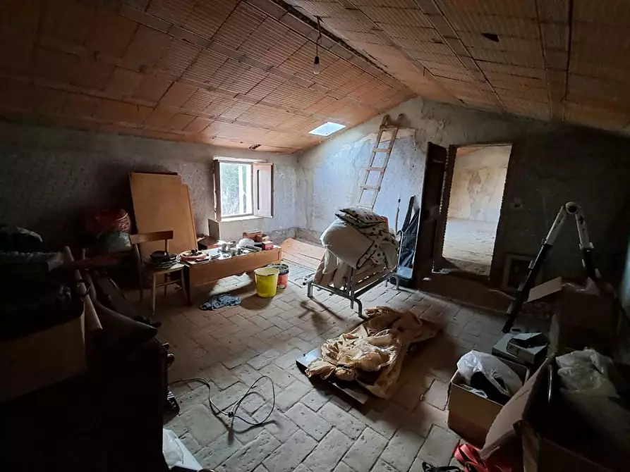 Immagine 21 di Terratetto in vendita  a Buti