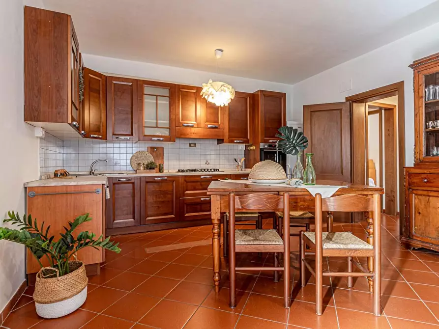 Immagine 17 di Villa in vendita  a San Giuliano Terme