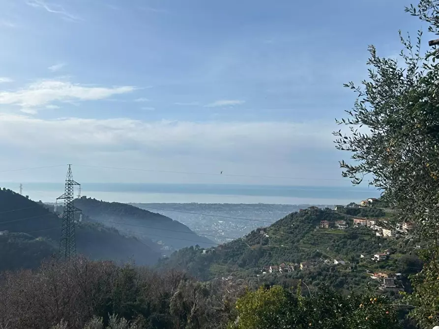 Immagine 18 di Terratetto in vendita  a Montignoso