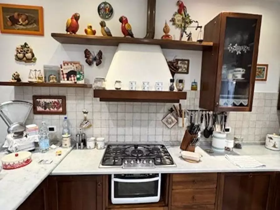 Immagine 25 di Villa in vendita  a Collesalvetti