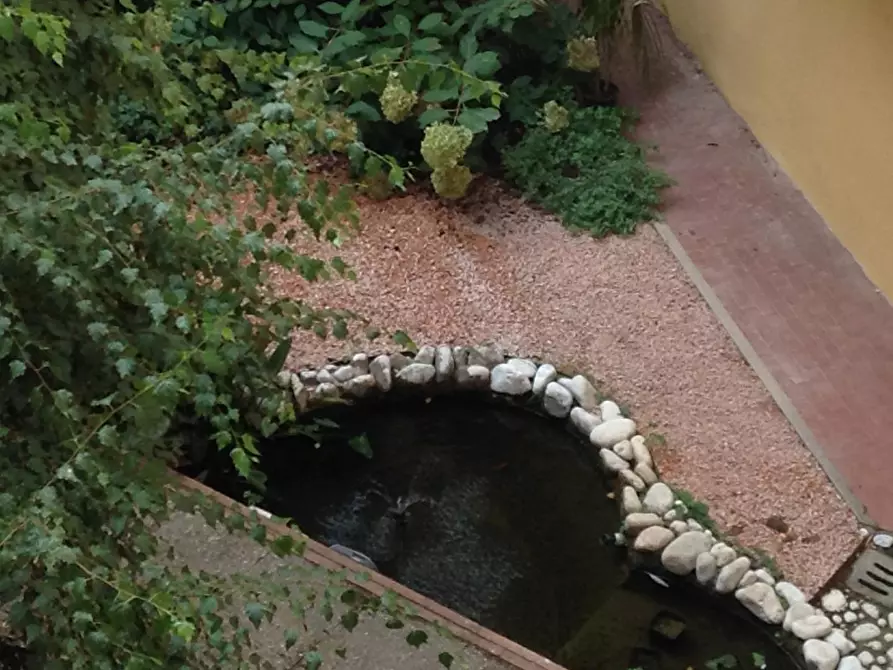 Immagine 13 di Appartamento in affitto  a Pisa