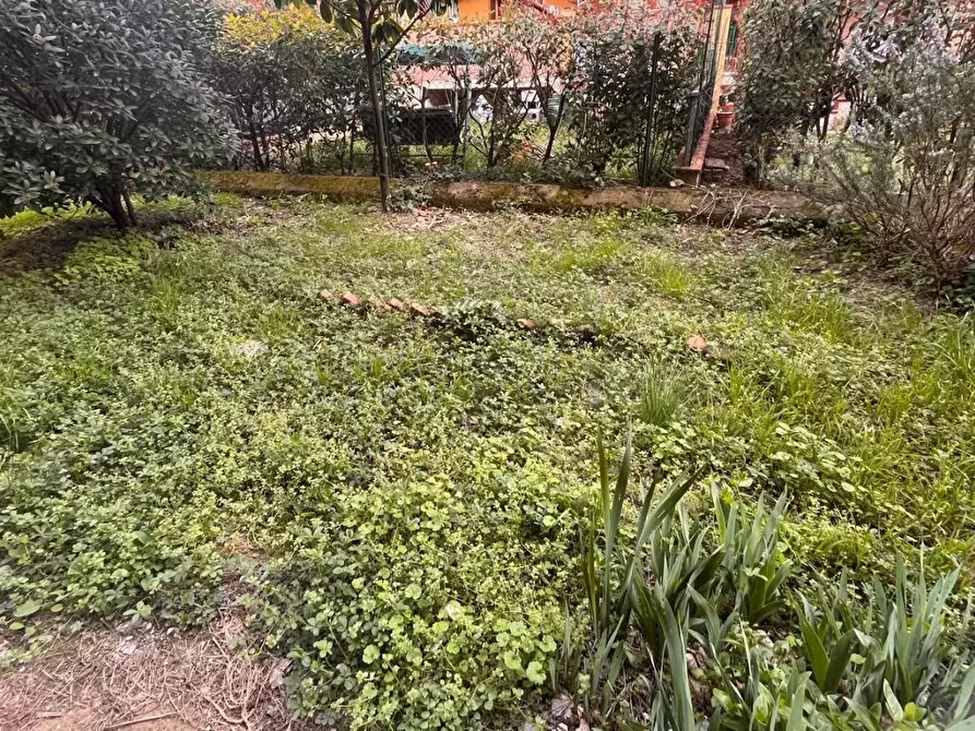 Immagine 19 di Appartamento in vendita  a Pontedera