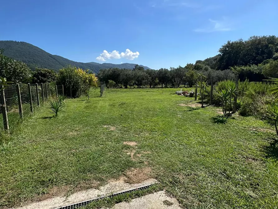 Immagine 11 di Villa in vendita  a Vecchiano