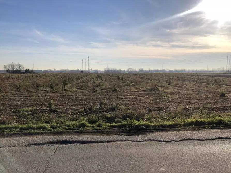 Immagine 4 di Terreno agricolo in vendita  a Trezzo Sull'adda