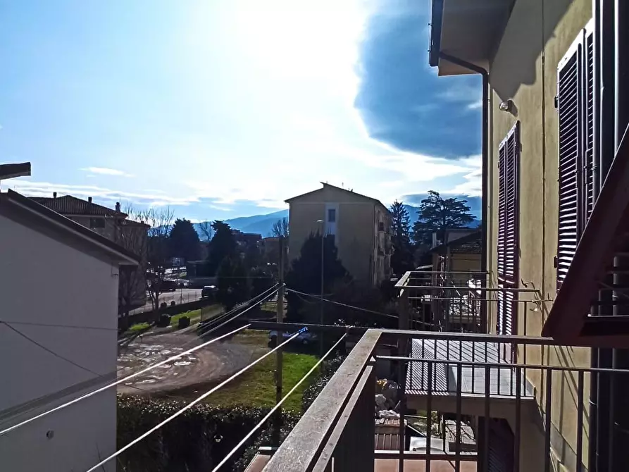 Immagine 4 di Appartamento in affitto  a Lucca